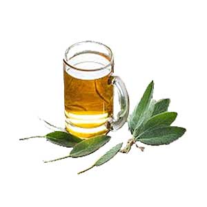 Adaçayı Toros Yayla 100 gr