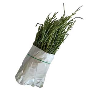 Taze Deniz Börülcesi Demet 10'lu