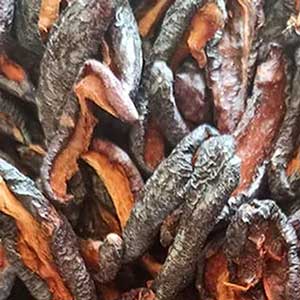 Erik Kurusu Toros Yayla 400 gr