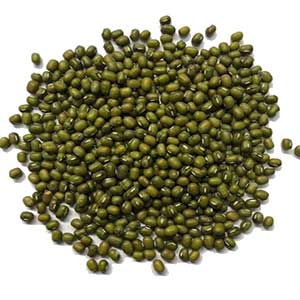 Maş Fasulyesi Toros Yayla 1 kg