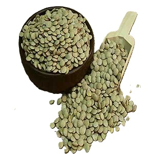 Yeşil Mercimek Toros Yayla 1 kg