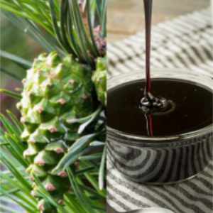 Çam Kozalağı Pekmezi 800 gr