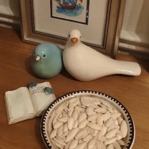 Sade Doğal Kabak Çekirdeği 250 gr