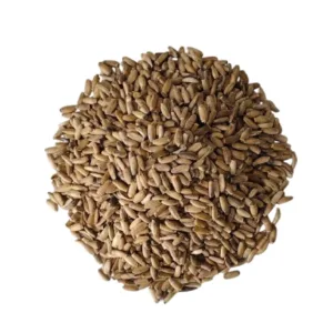 Kenger (Yabani Enginar) Tohumu 250 gr