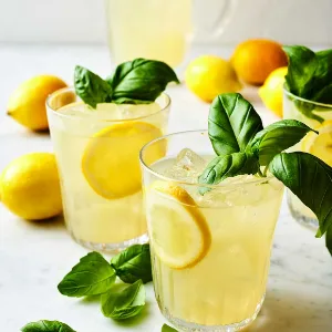 Limonata Özü Konsantre Donuk 1 lt