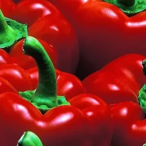 Gün Kurusu El Yapımı Tatlı Biber Salçası 1500 gr Pet Kavanoz